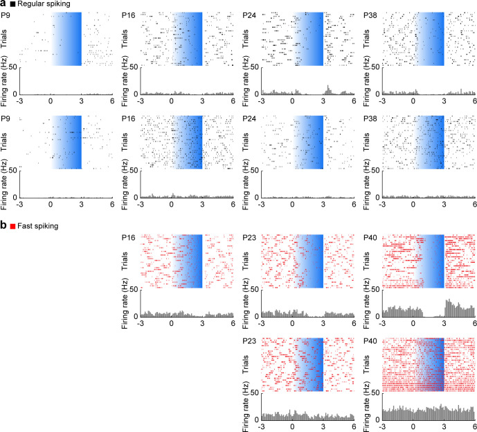 Figure 4—figure supplement 1.