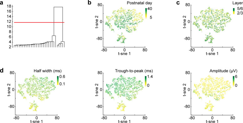 Figure 2—figure supplement 1.