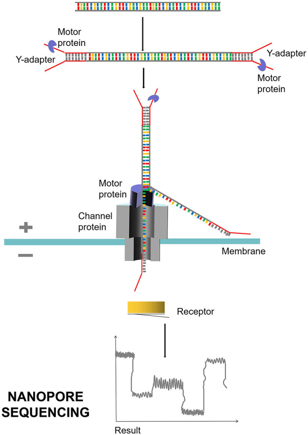 Figure 6