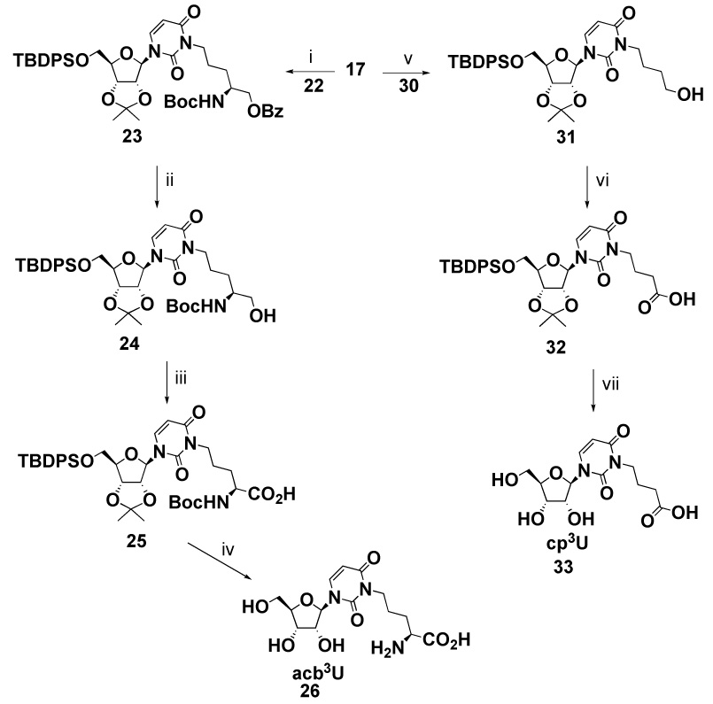 Scheme 3