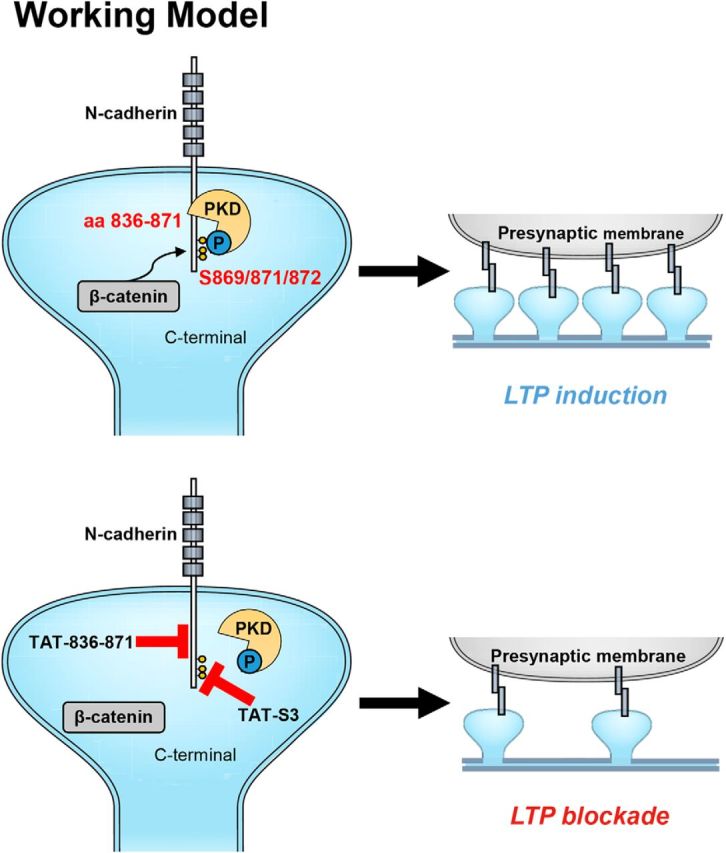 Figure 10.