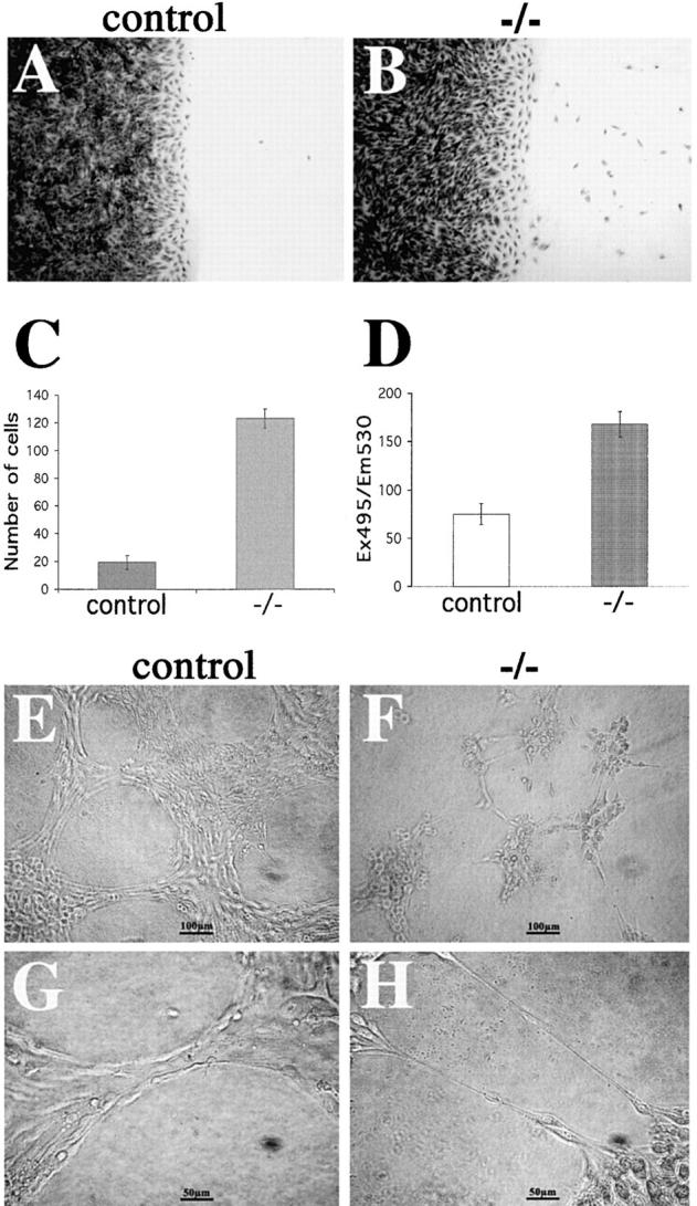 Figure 10.