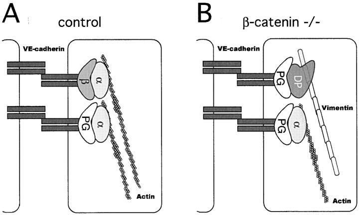 Figure 11.