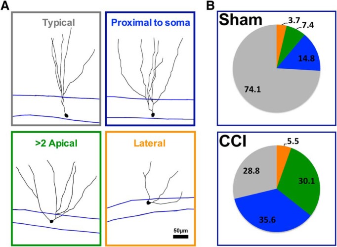 Figure 7.