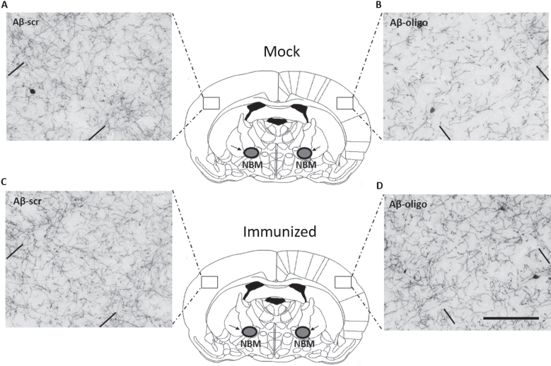 Fig.3