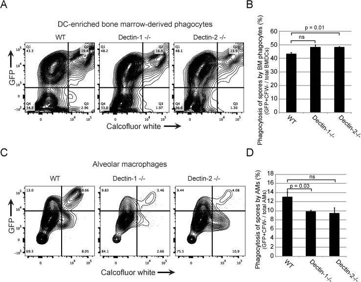 Fig 4