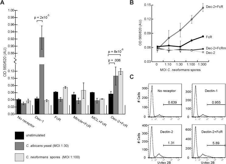 Fig 2