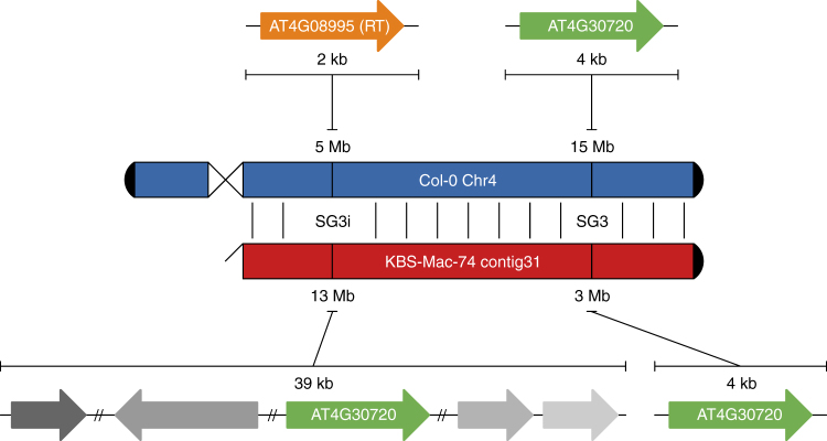 Fig. 4