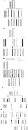 Figure  2.