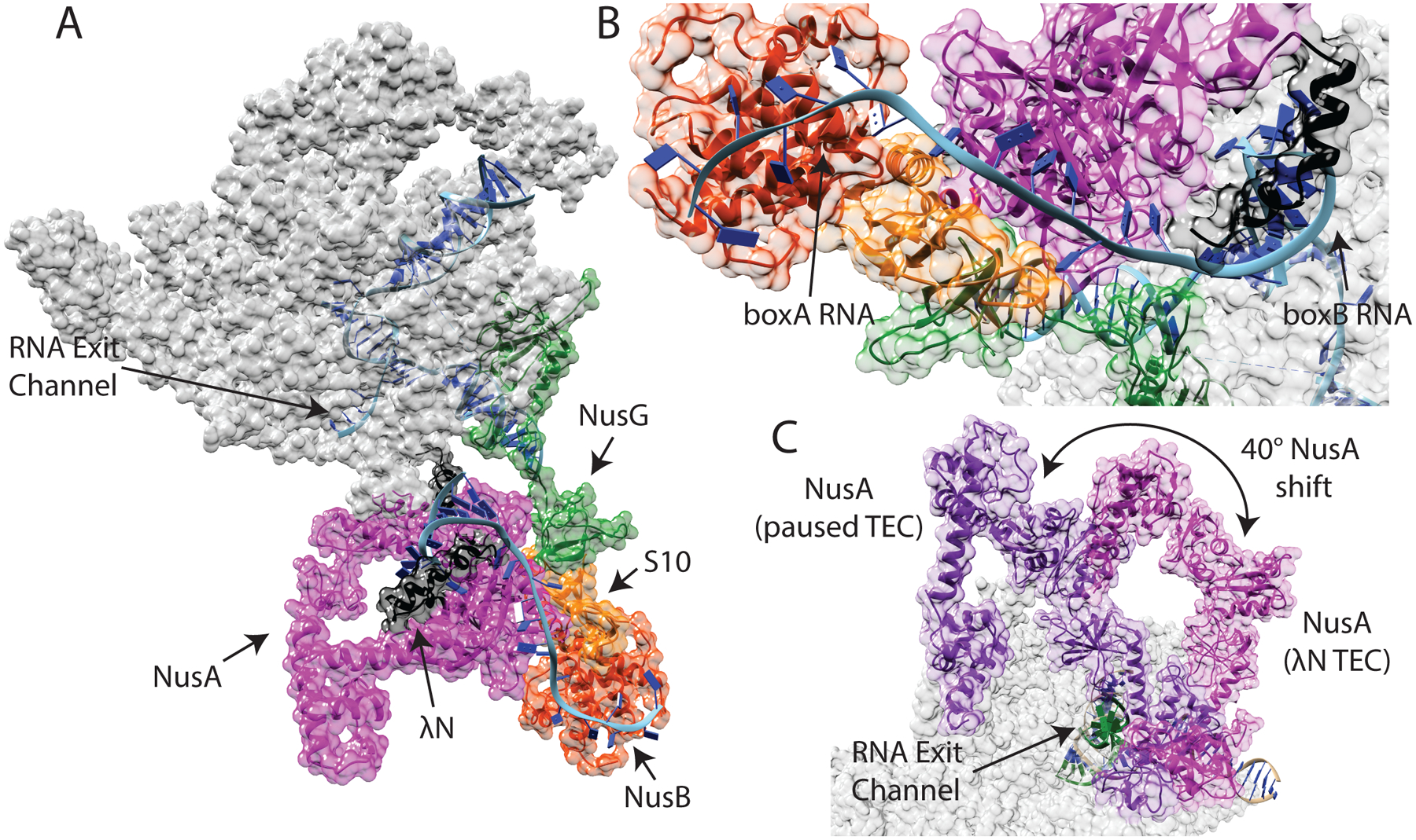 Figure 2: