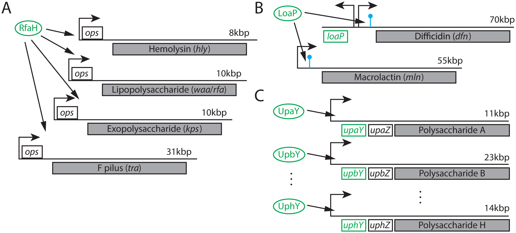 Figure 4: