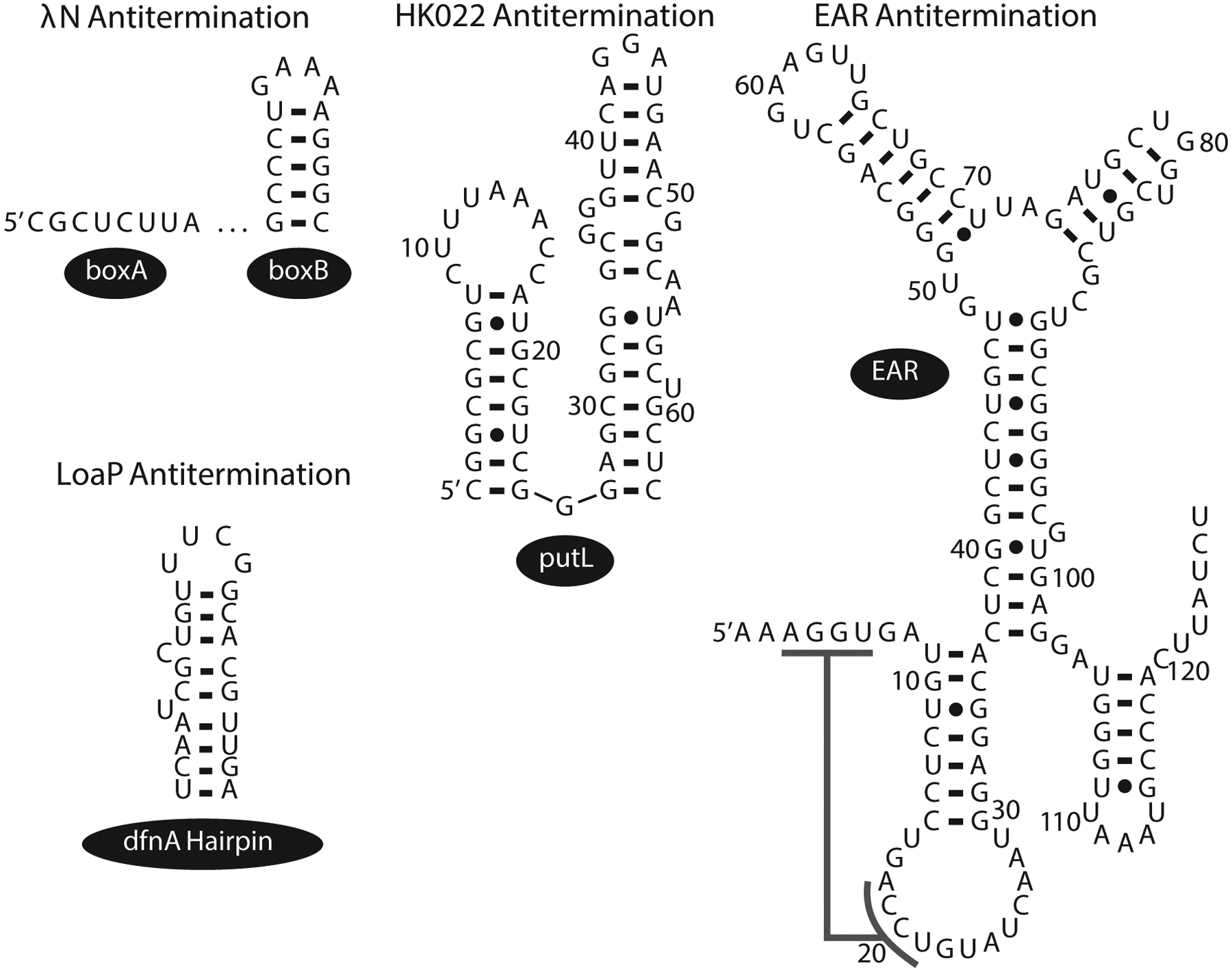 Figure 3: