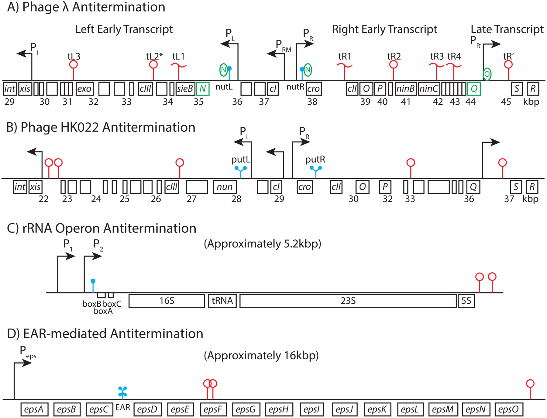 Figure 1: