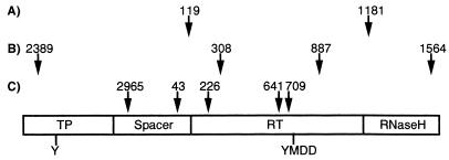 FIG. 6