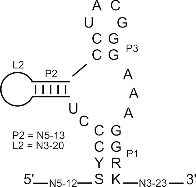 Figure 5.