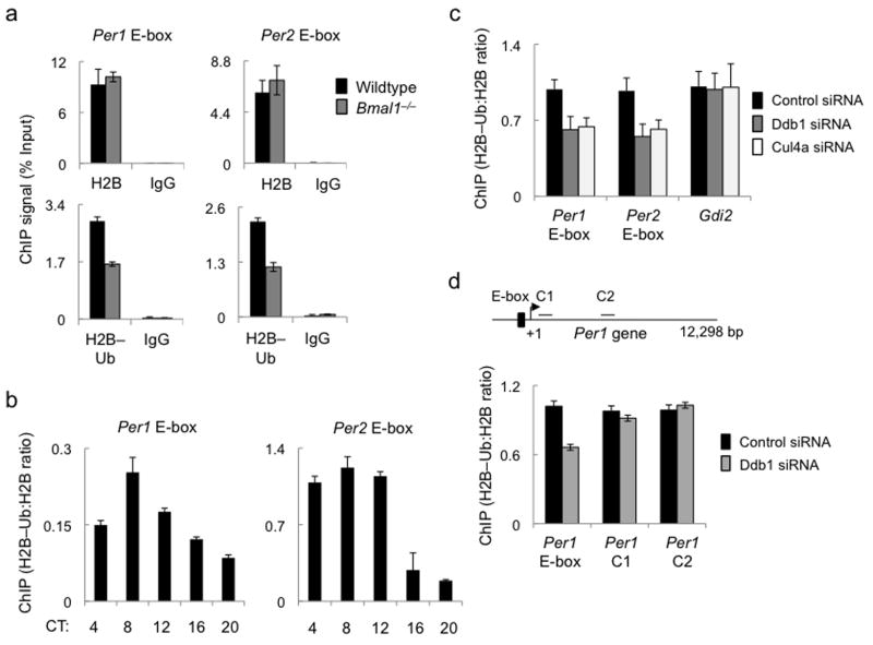 Figure 5