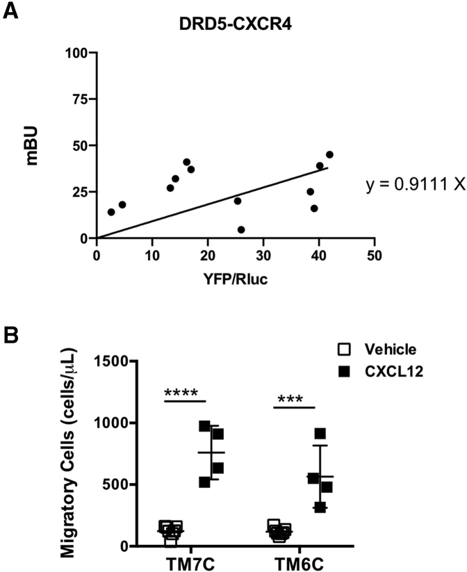 Figure 6