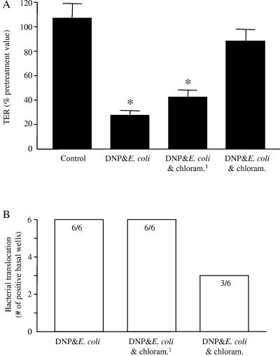 FIG. 8.