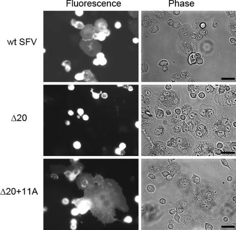 FIG. 6.