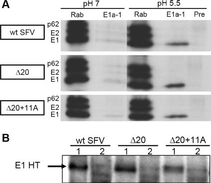 FIG. 7.