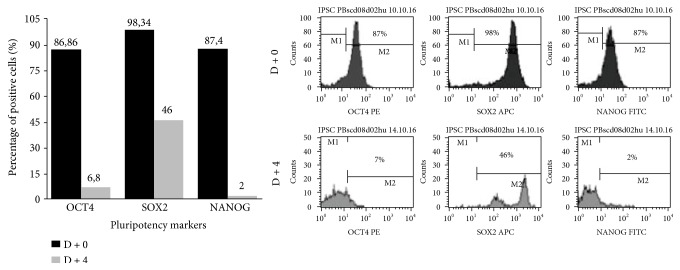 Figure 20