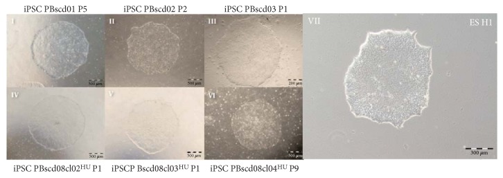 Figure 5