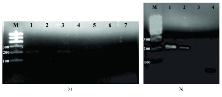 Figure 16