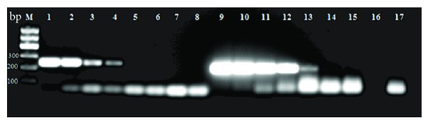 Figure 14