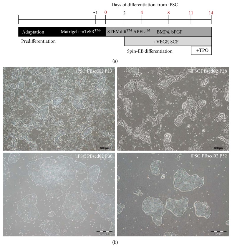 Figure 18