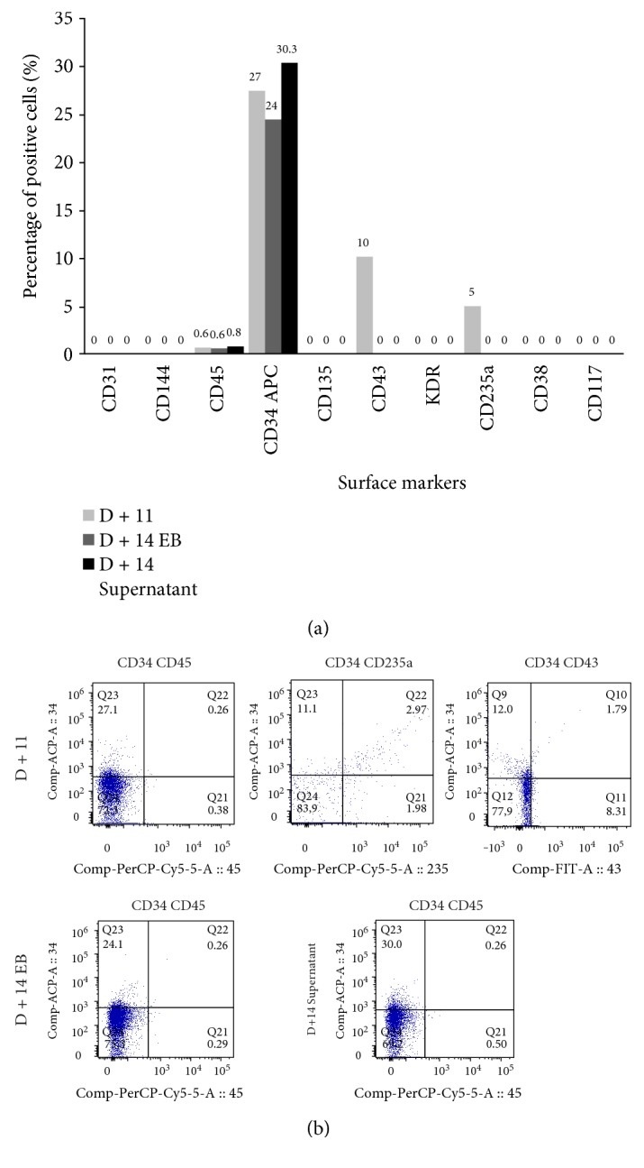 Figure 22