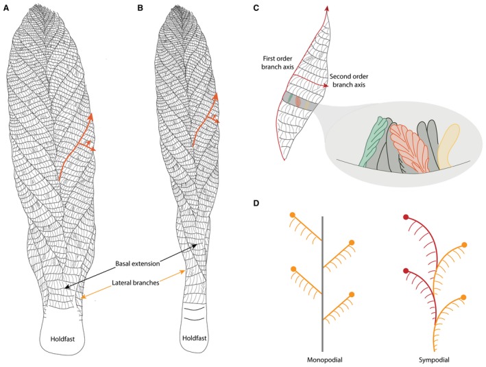 Figure 11