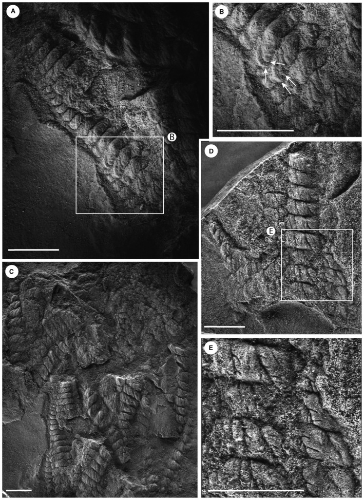 Figure 10