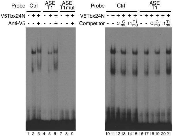 Fig.3