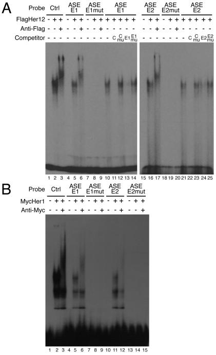 Fig.2