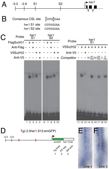 Fig.6