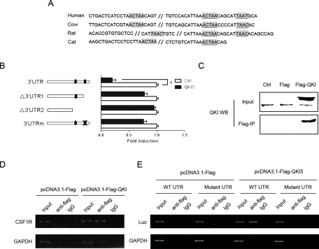 FIGURE 6: