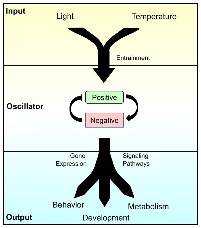 Figure 1.1