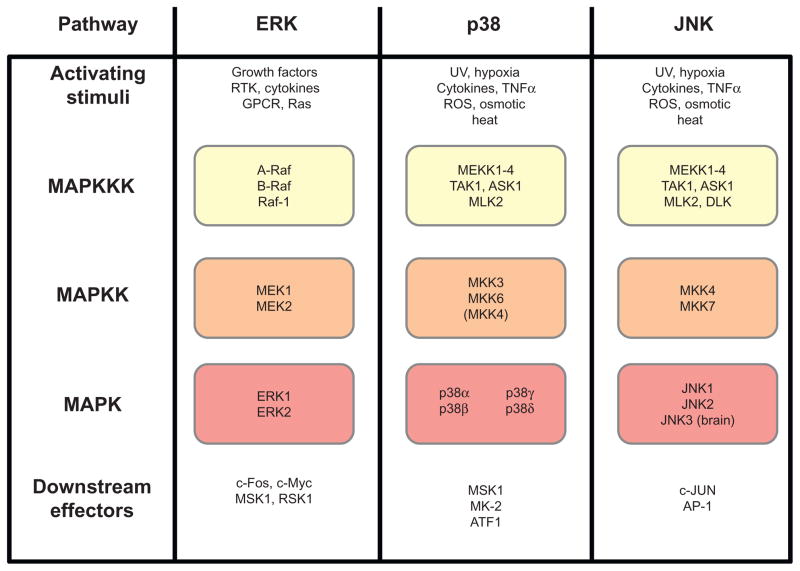 Figure 1.3