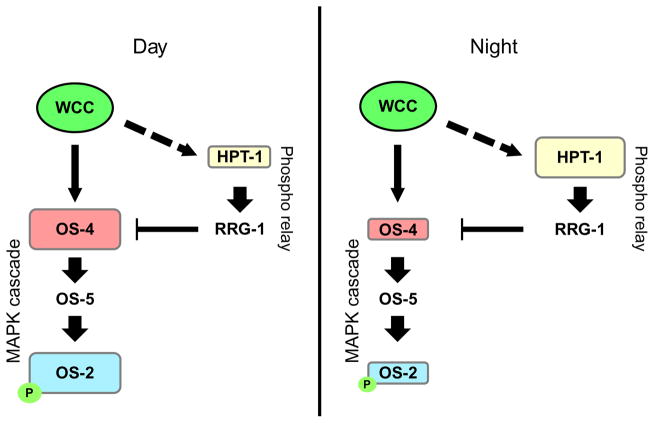 Figure 1.8