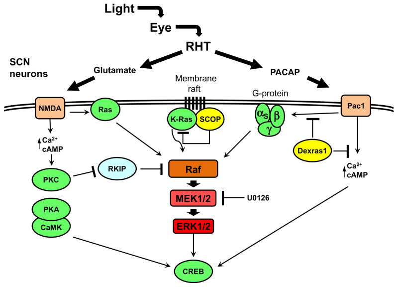 Figure 1.4