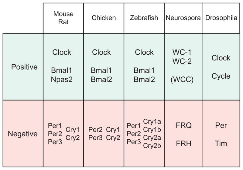 Figure 1.2