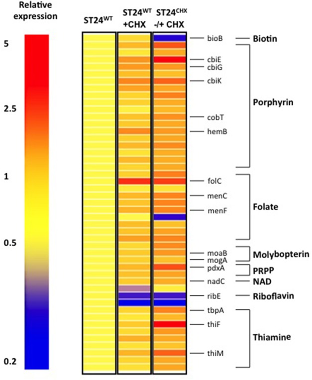 Figure 6