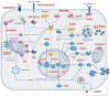 Fig. 3 |
