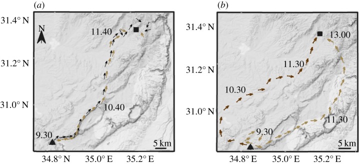 Figure 2.