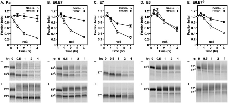 Fig 6