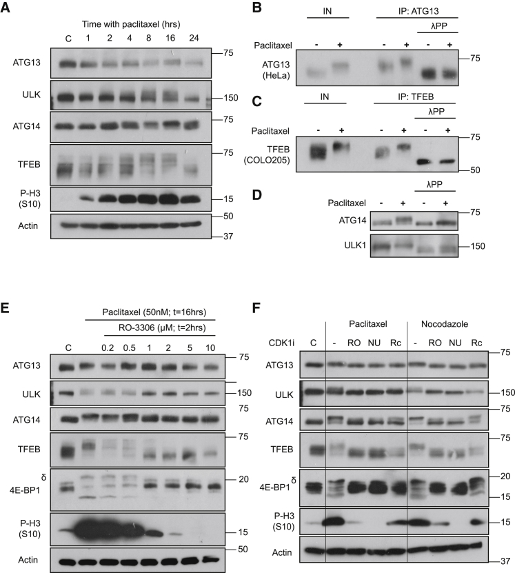 Figure 3