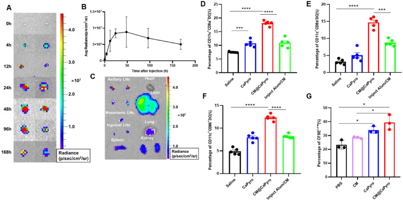 Fig 4