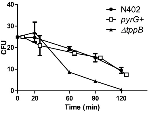 Figure 10