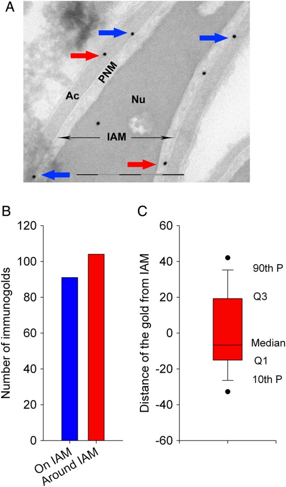 Figure 4.