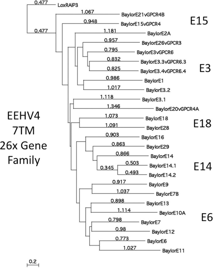 FIG 3 